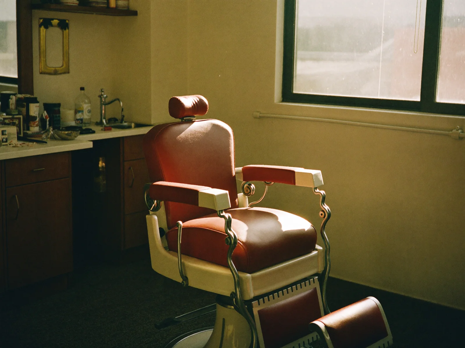 Morning light across the oxblood chair